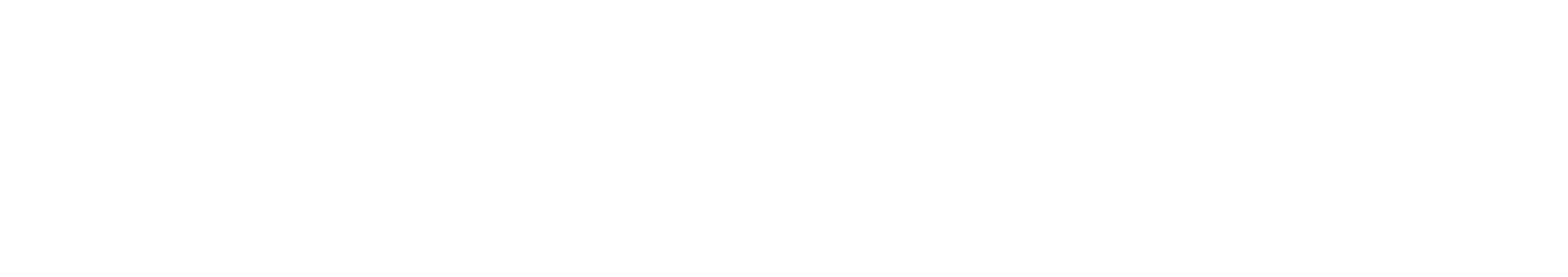 Brain Computing